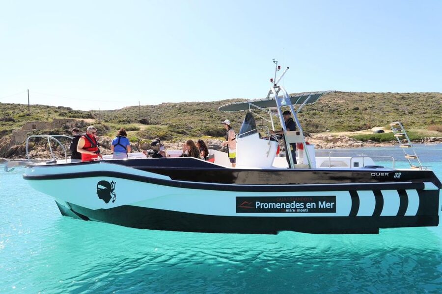 From Calvi: 2-Hour Sunset Cruise to Revellata Peninsula - Timing in June, July, and August