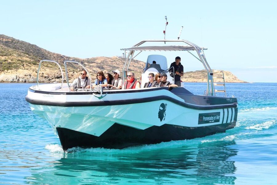 From Calvi: 2-Hour Sunset Cruise to Revellata Peninsula - Sea conditions and comfort