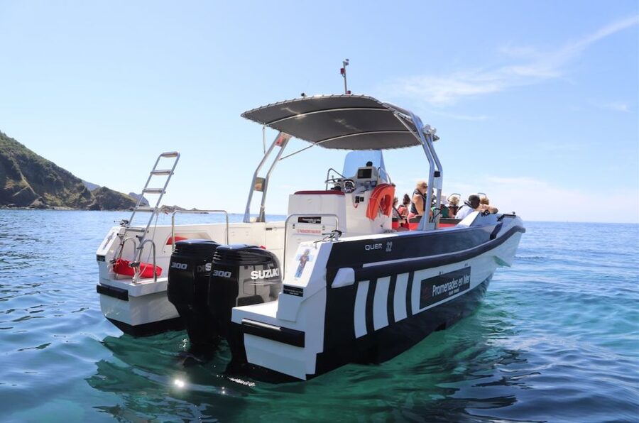From Calvi: 2-Hour Sunset Cruise to Revellata Peninsula - How the guides shape the experience