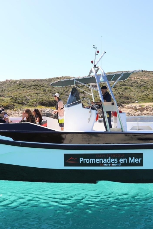 From Calvi: 2-Hour Sunset Cruise to Revellata Peninsula - Leaving Calvi beneath the citadel