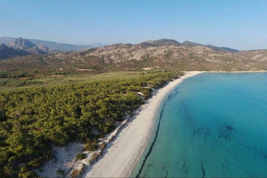 From Calvi: 4x4 Day Tour Mountain & Agriates' Saleccia Beach - Through the Reginu Valley and its old olive trees