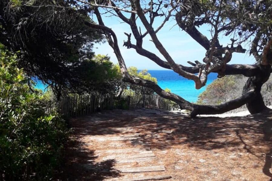 From Calvi: 4x4 Day Tour Mountain & Agriates' Saleccia Beach - Reaching Saleccia Beach through the Agriates