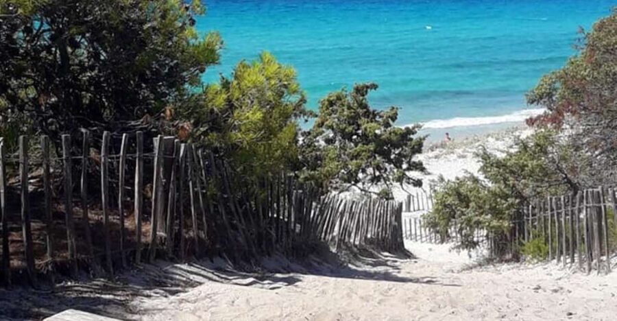 From Calvi: 4x4 Day Tour Mountain & Agriates' Saleccia Beach - What the 4x4 ride is really like