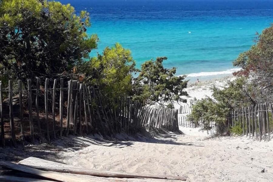 From Calvi: 4x4 Day Tour Mountain & Agriates' Saleccia Beach - Who will enjoy this day most