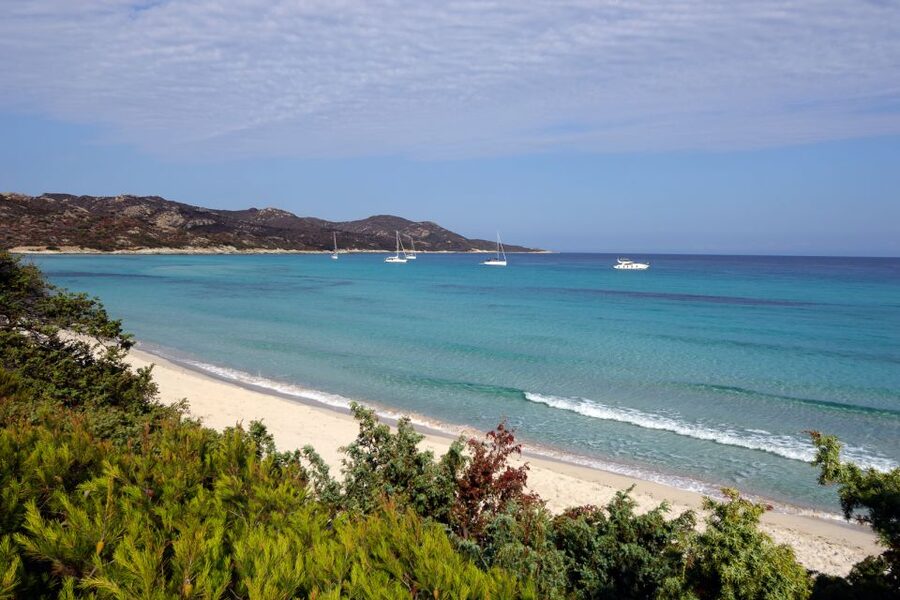 From Calvi: Agriate Guided Jeep Tour to Lotu and Saleccia - Crossing Corsica’s Agriate by 4x4