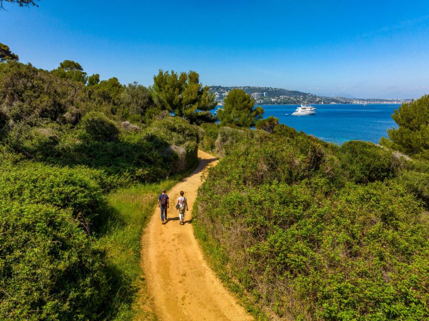From Cannes: Round-Trip Ferry to Ste. Marguerite Island - Who will get the most from this island trip?