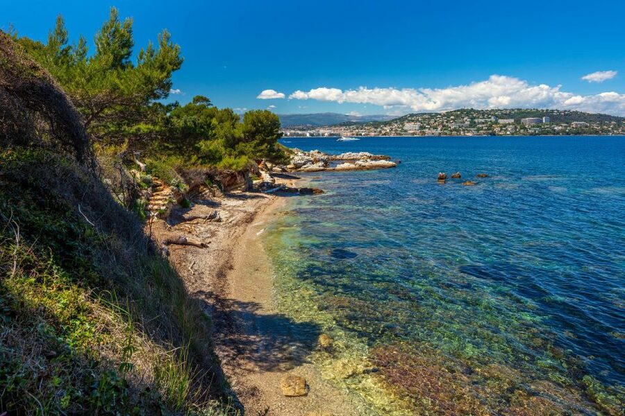 From Cannes: Round-Trip Ferry to Ste. Marguerite Island - Families, dogs, and access