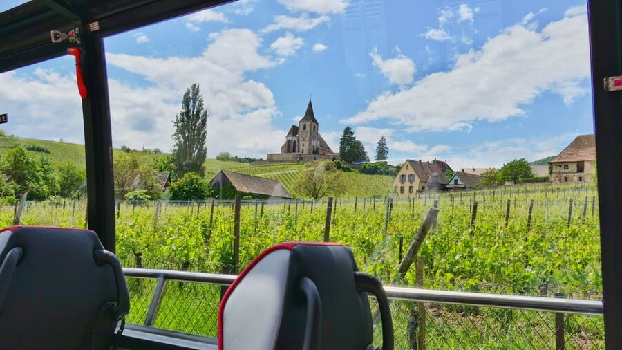 From Colmar: Alsace Medieval and Wine Tasting Day Tour - Sigolsheim Necropolis and the wartime past