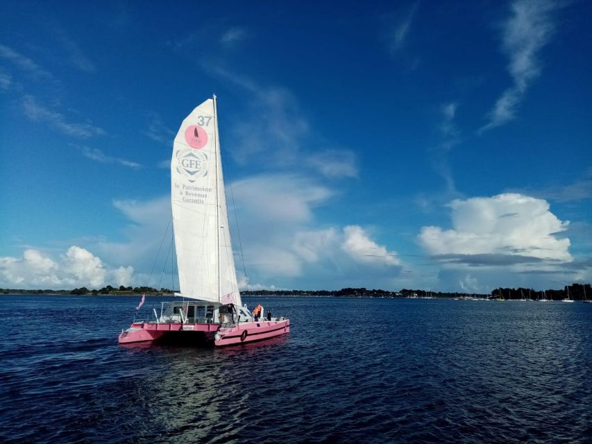 From Concarneau or Port la Forêt: Evening 2 hours navigation - How the experience feels in practice