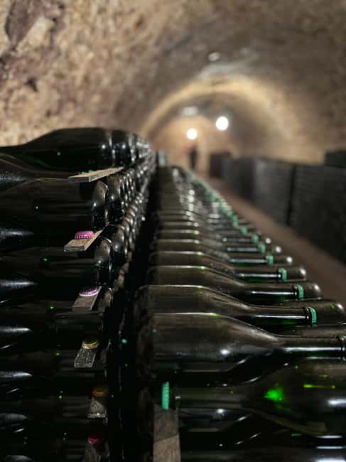 From Epernay : Bubble Champagne Tour 6 tastings - Inside a family grower’s press, winery, and cellar