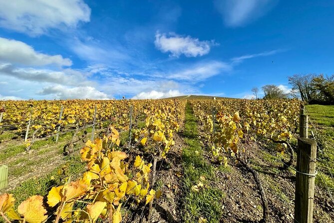 From Epernay: Champagne Small-Group tour with tastings & Lunch - A five-hour introduction to Champagne from Épernay