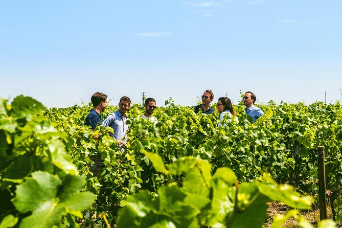 From Epernay: Champagne Small-Group tour with tastings & Lunch - Ay-Champagne and the long lunch stop