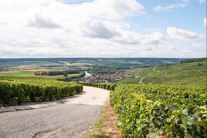 From Epernay: Champagne Small-Group tour with tastings & Lunch - Guides, group size, and the social side