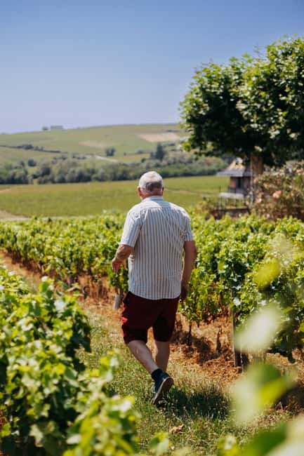 From Lyon: Beaujolais Wine Route Half-Day Tour - What the four-hour schedule really means
