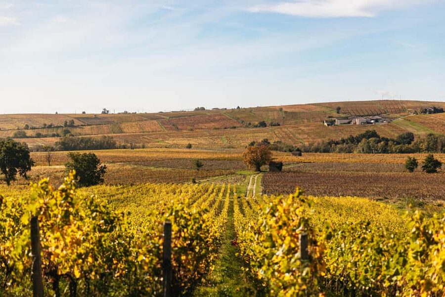 From Lyon: Beaujolais Wine Tour with Tastings - Key points to know before booking