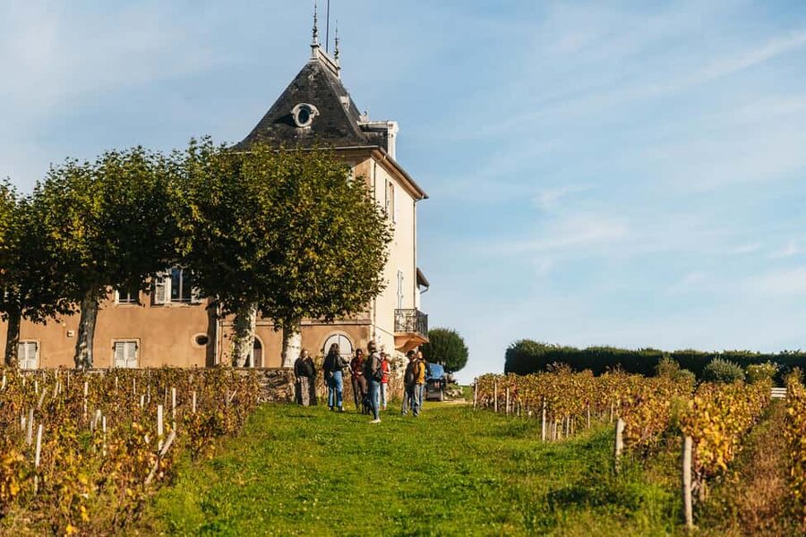 From Lyon: Beaujolais Wine Tour with Tastings - Meeting the winemakers at two family estates
