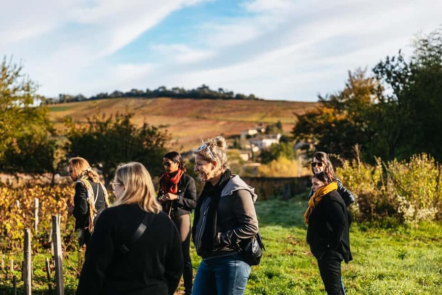 From Lyon: Beaujolais Wine Tour with Tastings - Tasting Gamay in Morgon, Moulin-à-Vent, and Fleurie