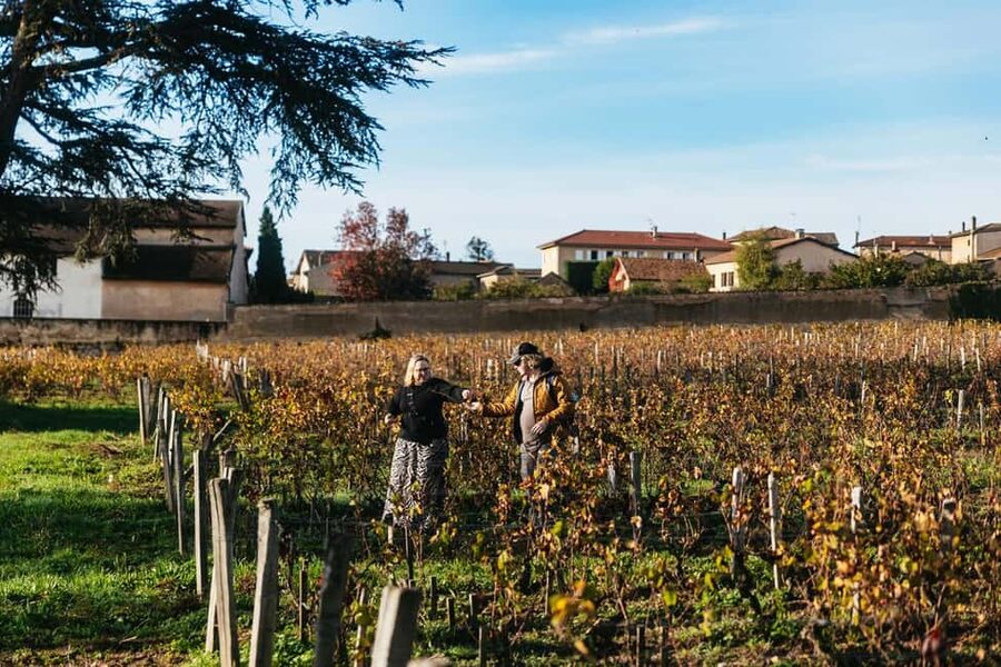From Lyon: Beaujolais Wine Tour with Tastings - Price, group size, and what is included