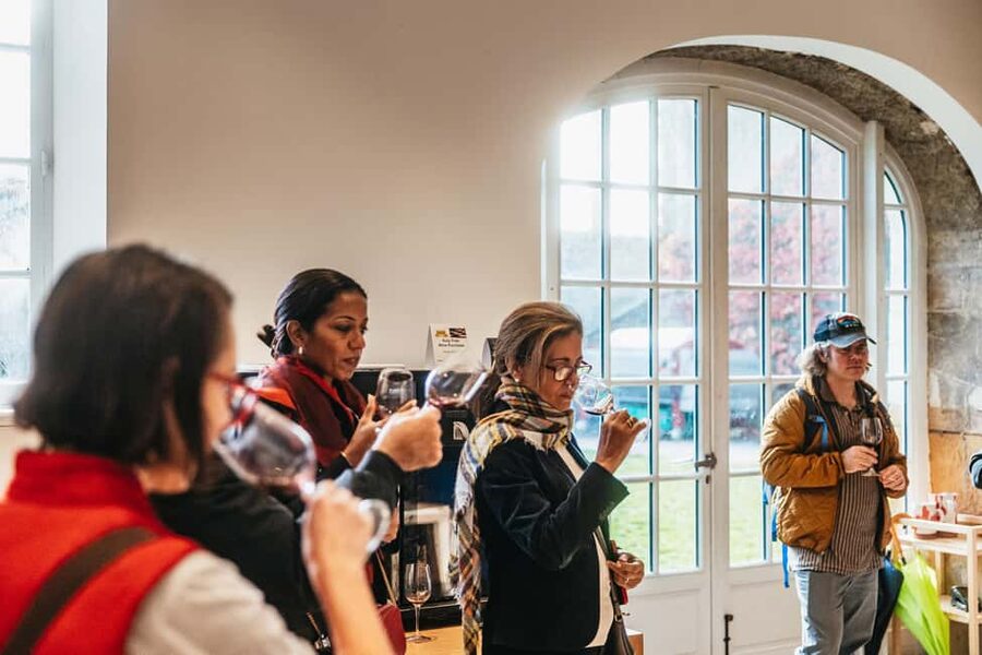 From Lyon: Beaujolais Wine Tour with Tastings - Who will enjoy this Beaujolais outing
