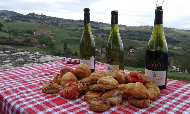 From Lyon: Golden Stones Beaujolais Wine Tasting Tour - Meeting a family winemaker