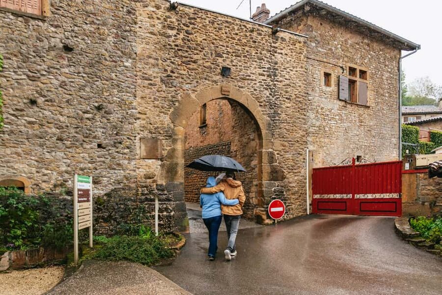 From Lyon: Golden Stones Beaujolais Wine Tasting Tour - What the wine tasting is really like