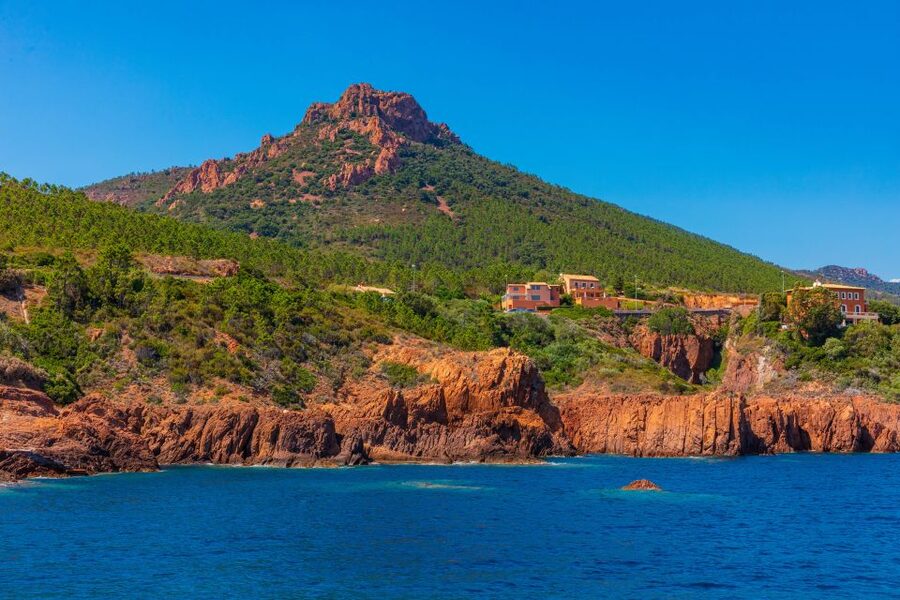 From Mandelieu: Corniche d'Or Sightseeing Cruise with Guide - The French commentary and the onboard welcome