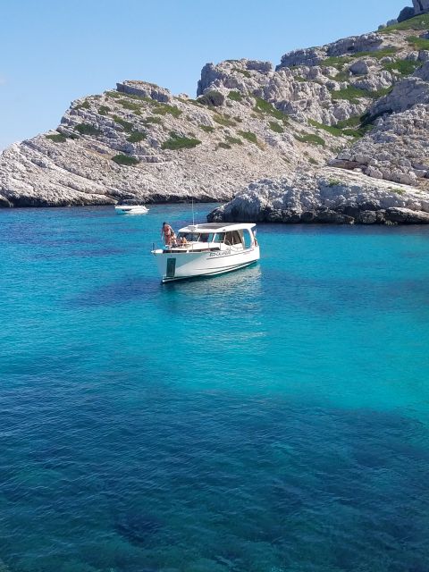 From Marseille: Calanques National Park Eco Boat Cruise - Château d’If and the Frioul archipelago