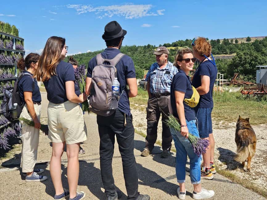 From Marseille: Lavender Full-Day Trip to Sault - What to bring and how to prepare
