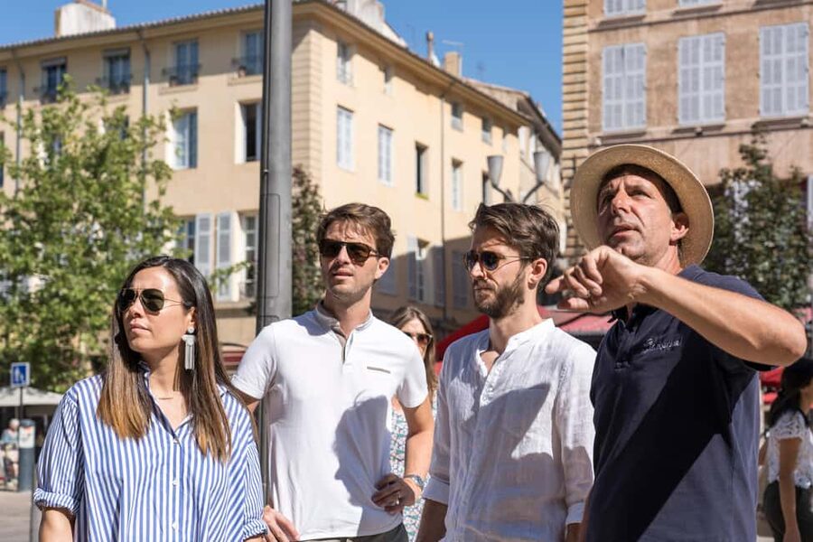 From Marseille: Provence Sightseeing Tour and Wine Tasting - The minibus, group size, and physical effort