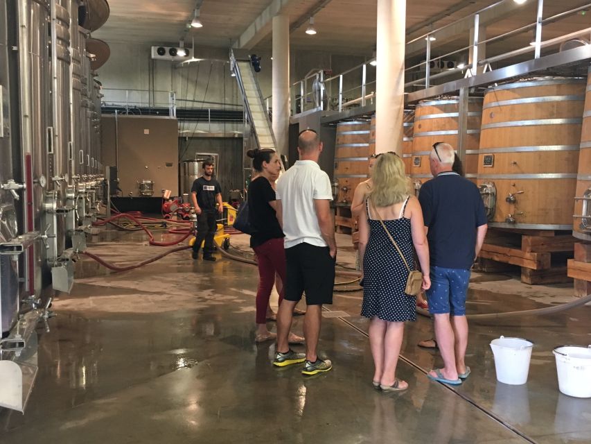 From Montpellier: Half-Day Vineyard & Pic Saint-Loup Tour - Why Pic Saint-Loup makes a fine first taste of Languedoc wine