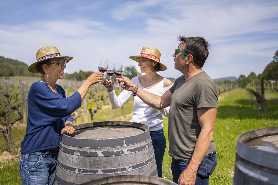 From Montpellier: Half-Day Vineyard & Pic Saint-Loup Tour - A short hop to the second Pic Saint-Loup estate