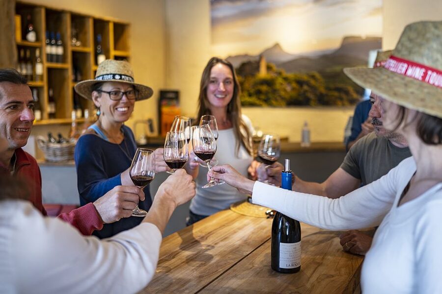 From Montpellier: Half-Day Vineyard & Pic Saint-Loup Tour - What the guide adds to four hours