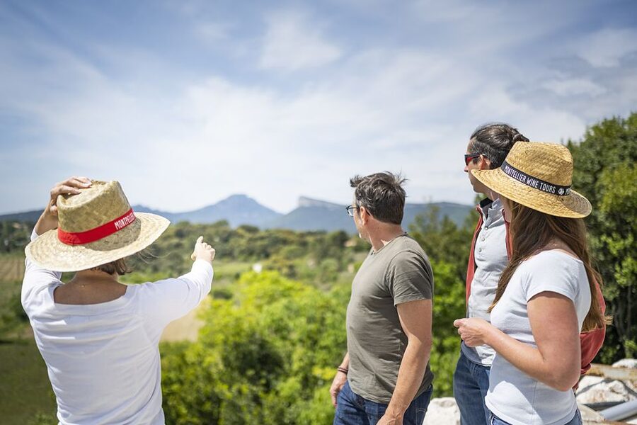 From Montpellier: Half-Day Vineyard & Pic Saint-Loup Tour - Transport, timing, and the value of $93
