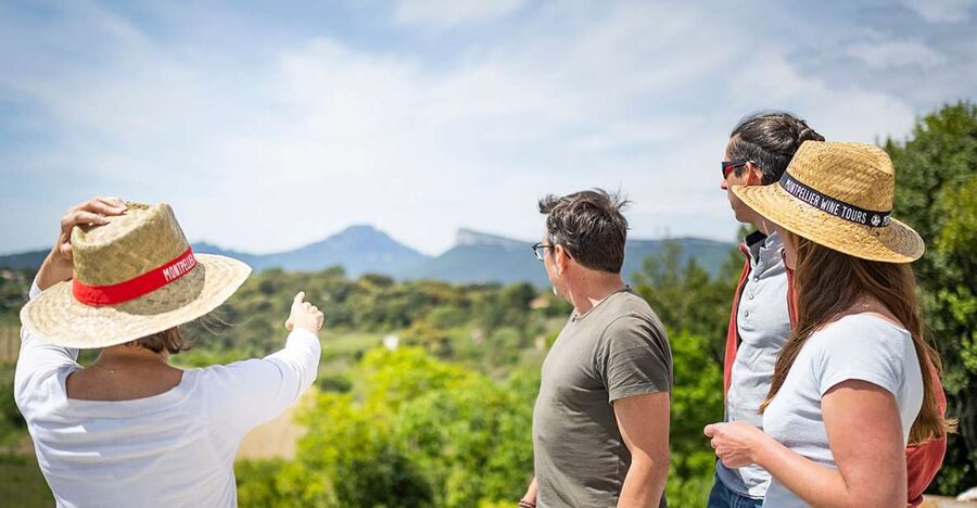From Montpellier: Half-Day Vineyard & Pic Saint-Loup Tour - Booking details worth knowing before you go