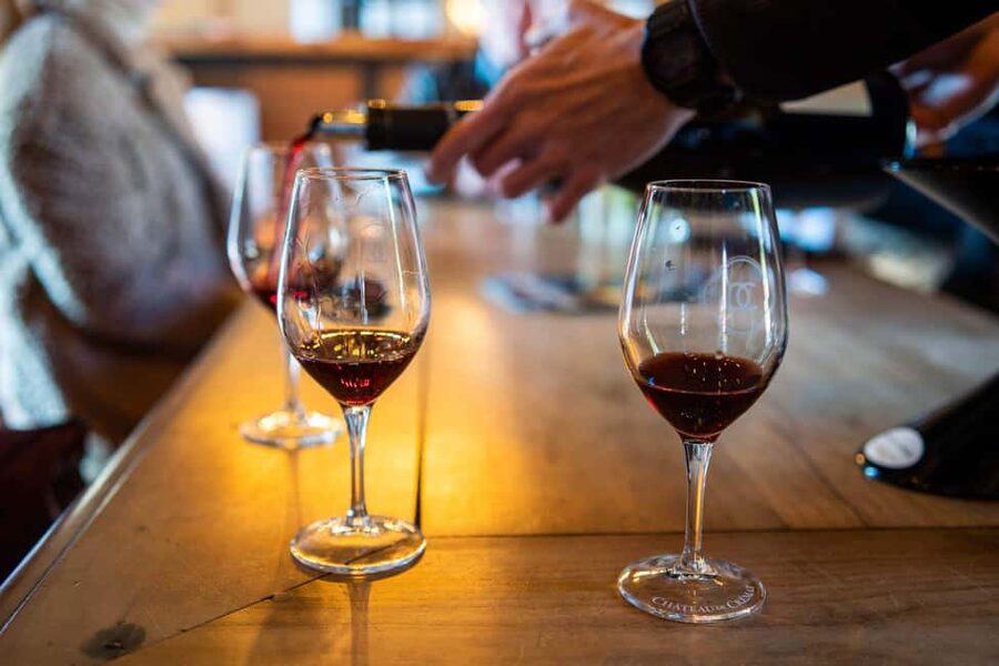 From Nice: Cannes, Saint Paul de Vence and Wine Tasting - Cannes: the Croisette and the red carpet