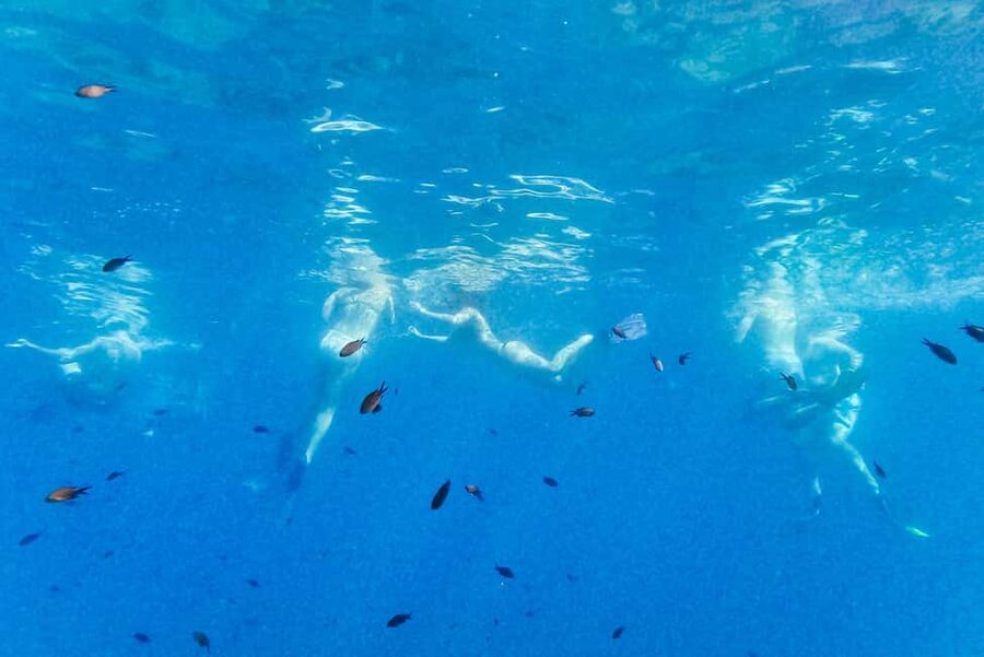 From Nice: French Riviera Swimming and Snorkeling Cruise - Should you book it?