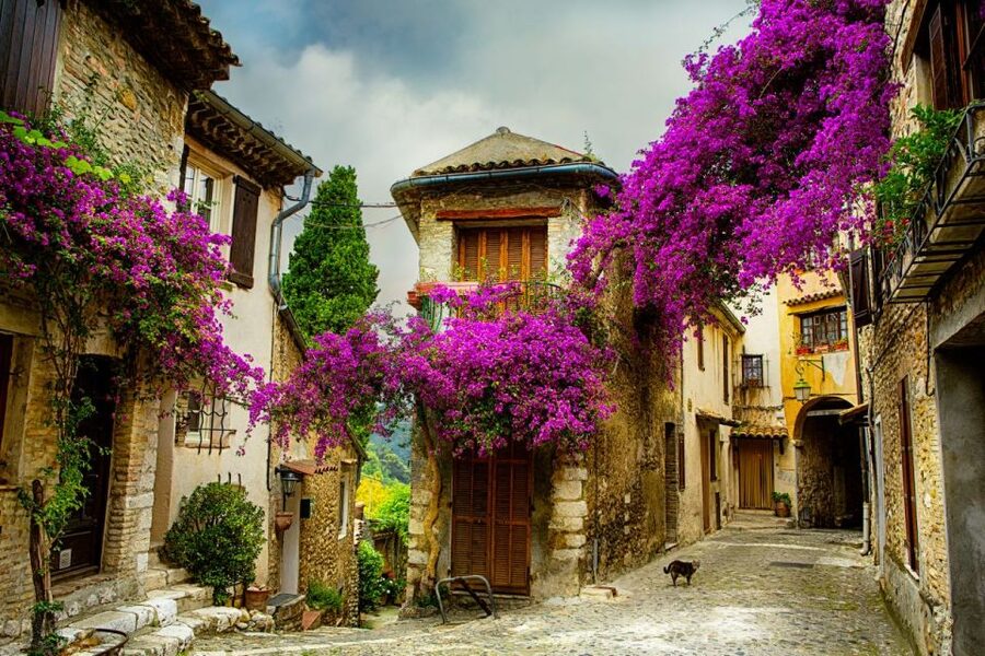 From Nice: Provence and its Medieval Villages Full-Day Tour - Saut du Loup and the road to Gourdon
