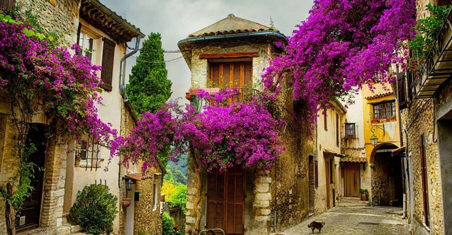 From Nice: Provence and its Medieval Villages Full-Day Tour - Grasse and the world of perfume