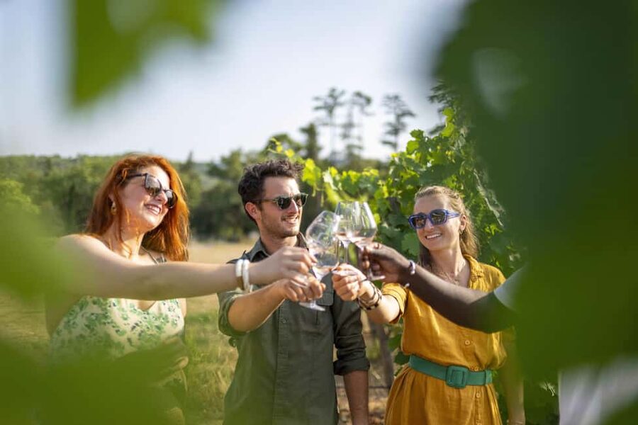 From Nice: Provence Wine Full-Day Tour - Is $211 a fair price?