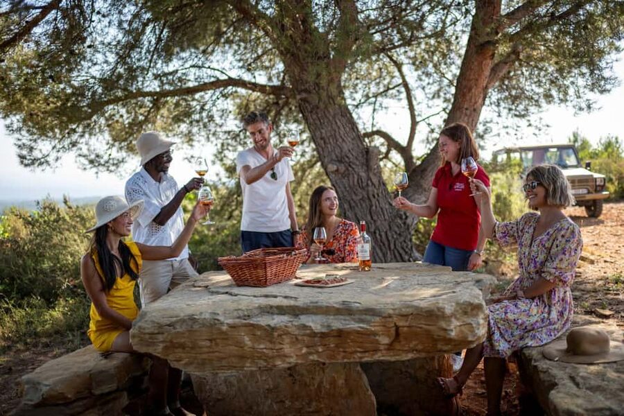 From Nice: Provence Wine Full-Day Tour - Three Provence wineries in one carefully packed day