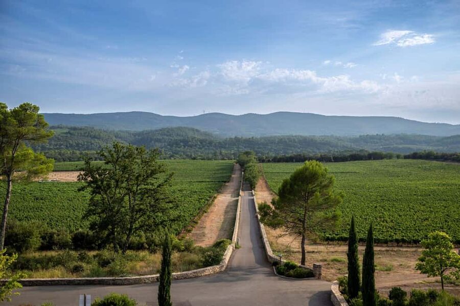 From Nice: Provence Wine Full-Day Tour - The final estate: organic wines and a memorable cellar