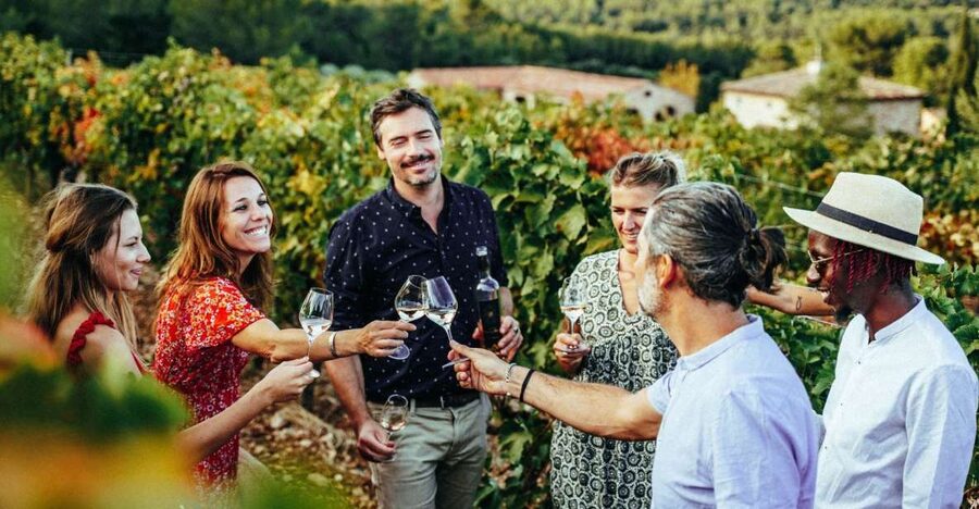 From Nice: Provence Wine Full-Day Tour - What you will taste beyond rosé
