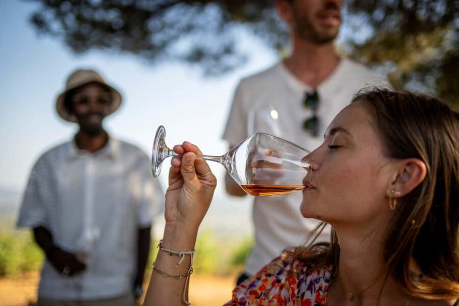 From Nice: Provence Wine Full-Day Tour - Why the eight-person limit matters