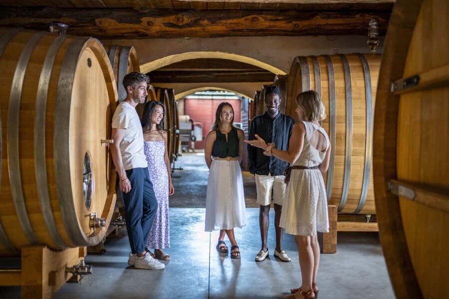 From Nice: Provence Wine Full-Day Tour - The first château: history, cellars, and a tasting lesson