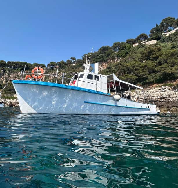 From Nice: Villefranche Bay Swimming & Snorkeling Boat Tour - What Makes Villefranche Bay a Good Swimming Stop