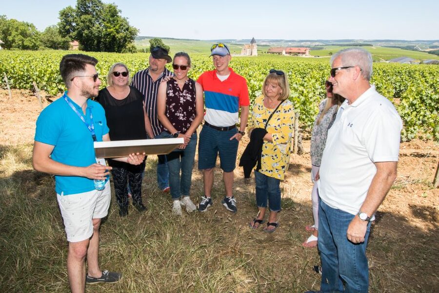 From Paris: Burgundy Region Winery Tour with Tastings - Why Chablis is worth the long ride from Paris