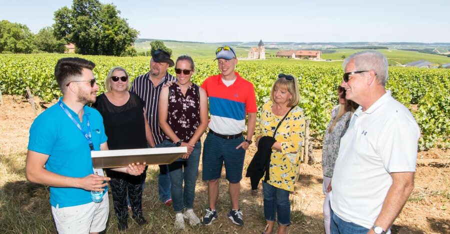 From Paris: Burgundy Region Winery Tour with Tastings - Meeting a 21st-generation winemaker at Domaine Bersan
