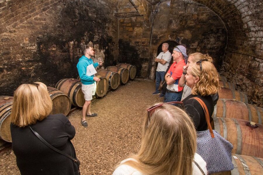 From Paris: Burgundy Region Winery Tour with Tastings - A 75-minute pause in the town of Chablis