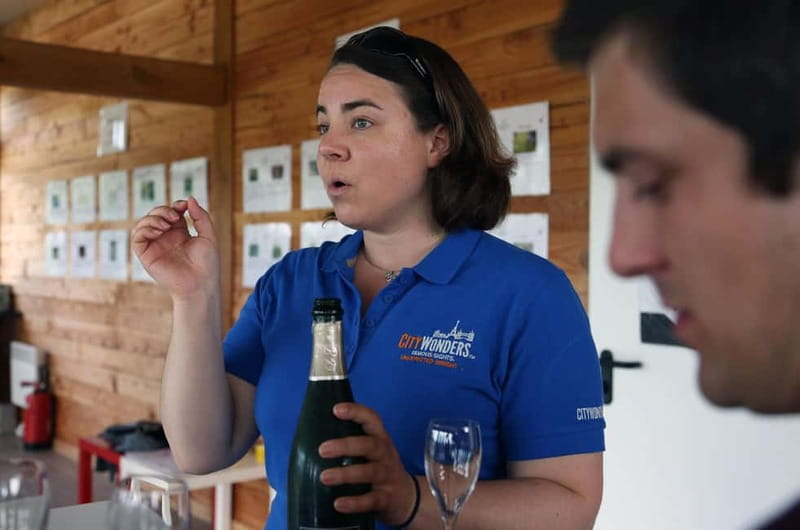 From Paris: Champagne Day Trip with 7 Tastings and Lunch - A family estate and the personal side of Champagne