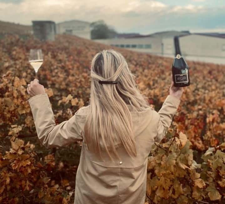 From Paris: Champagne Day Trip with 7 Tastings and Lunch - The ride home and the real cost of the day
